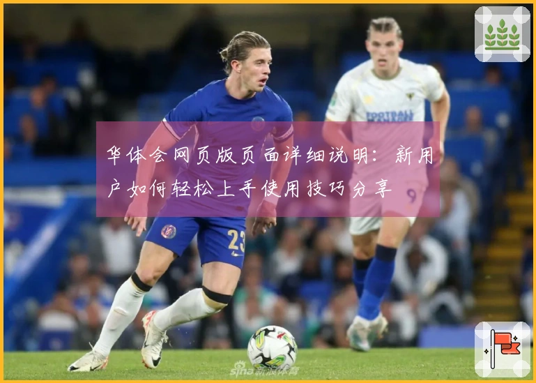 华体会网页版页面详细说明：新用户如何轻松上手使用技巧分享