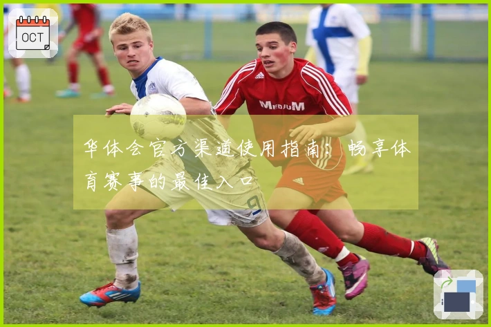 华体会官方渠道使用指南：畅享体育赛事的最佳入口